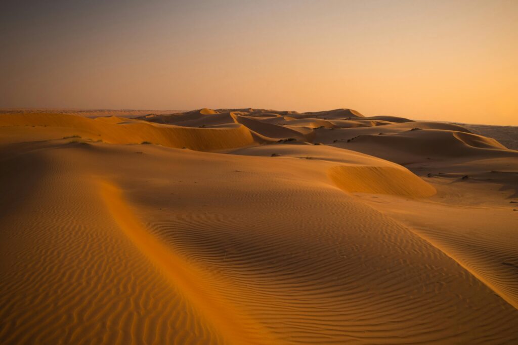 Wahiba Sand with Oloi Shorua